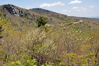 view from the overlook of the road ahead