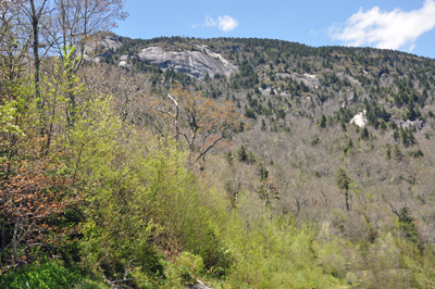 scenery from the overlook