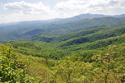 view from The Blowing Rock