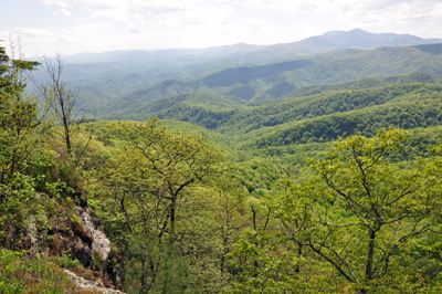 view from The Blowing Rock