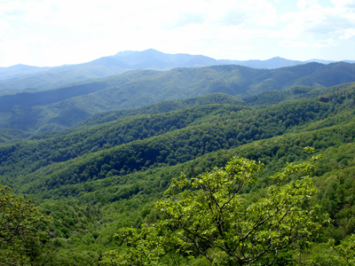 view from The Blowing Rock