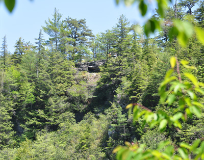 a view of the next overlook