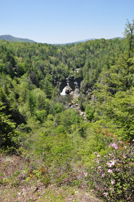 a panoramic view of the Linville Gorge