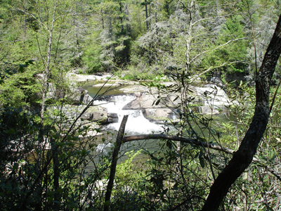 view of the falls through the woods