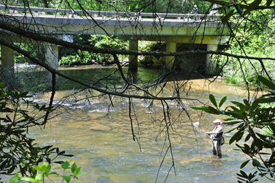 a fisherman