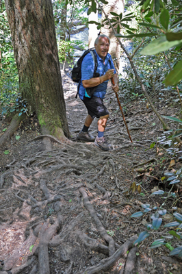 Lee Duquette and the rooty trail