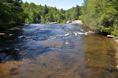 view from one side of the bridge