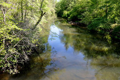 view from one side of the bridge