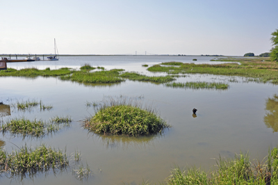 boardwalk view - high tide