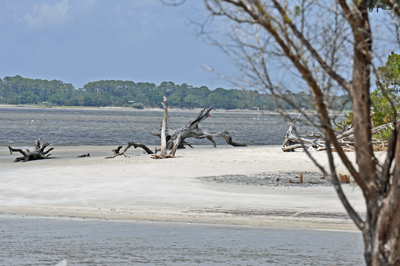 the beach 