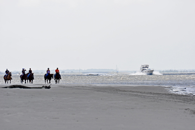 horses and a boat