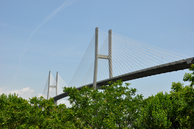 Suspension Bridge