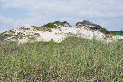 dunes as seen from the boardwalk