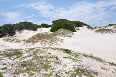 NaNa - the tallest dune in Florida