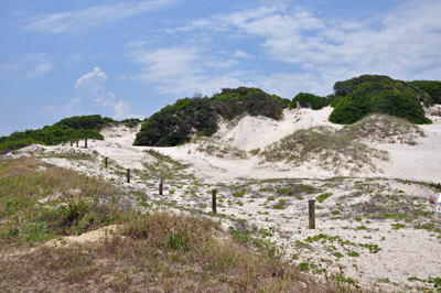 NaNa - the tallest dune in Florida