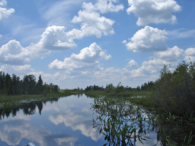 Okefenokee Swamp