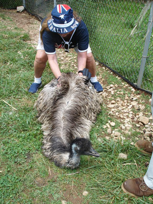 Karen Duquette petting an emu