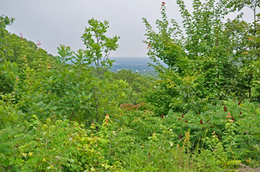 Overlook of Scott County