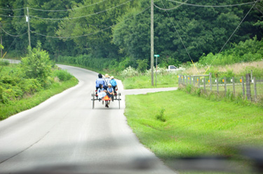 Amish horse and buggy