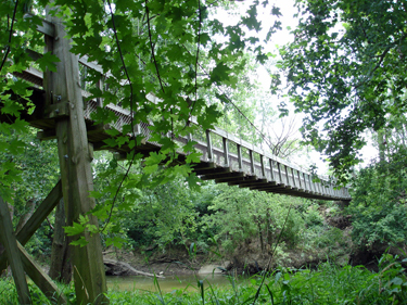 The suspension bridge