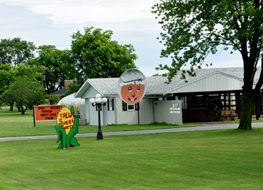 fresh corn sign