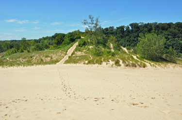 sand dune