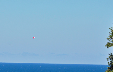 a kite in the sky