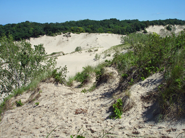 sand dune