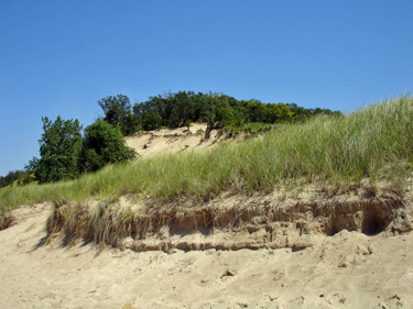 sand dunes