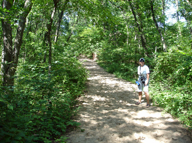 Karen Duquette on the trail through the forest to the summit