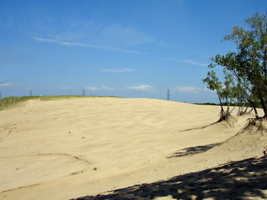 the summit of Mount Baldy