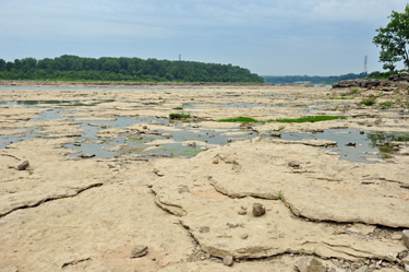 The Falls of the Ohio