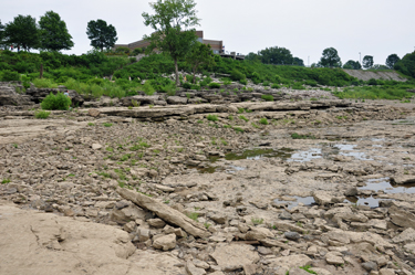 The Falls of the Ohio