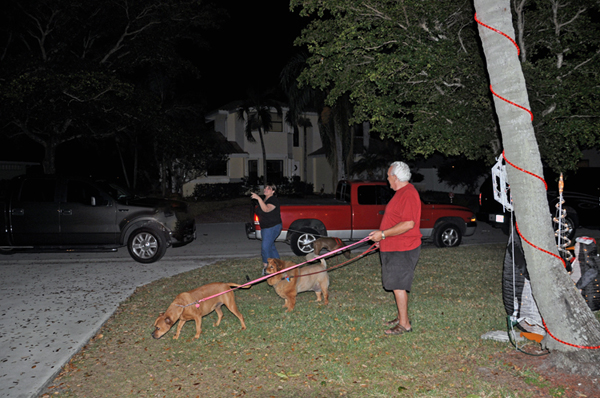 Lee and REanee and two dogs