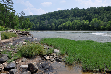 the Cumberland River