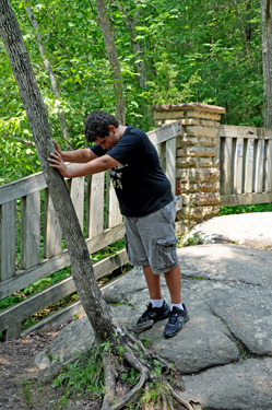 Aelx pushing on a tree