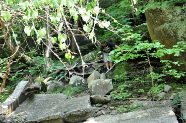 Alex emerging from the woods.