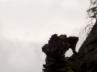 a seahorse at the Natural Arch