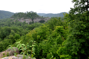 First view of the Natural Arch from Lookout Point