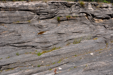 Glacial Grooves