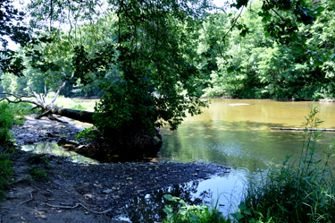 View from down beside the State Road Covered Bridge