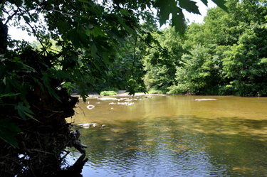 View from down beside the State Road Covered Bridge