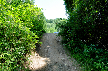 The hill back up to the car