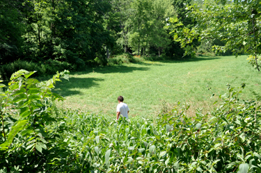 Alex walking down to get below the Creek Road Covered Bridge