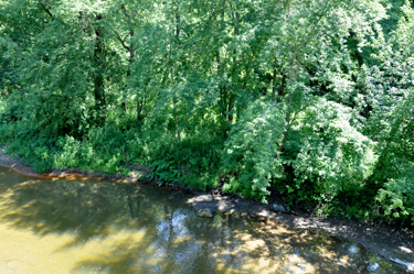 View from the Creek Road Covered Bridge