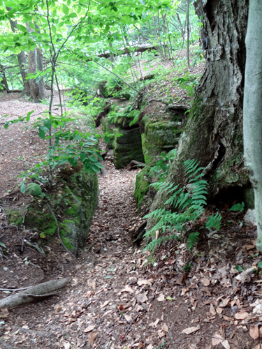 another deep crevice at Panama Rocks