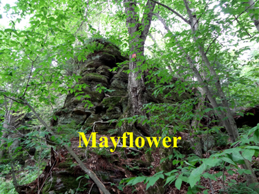 Mayflower  formation at Panama Rocks