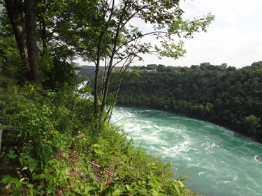 the Niagara River 