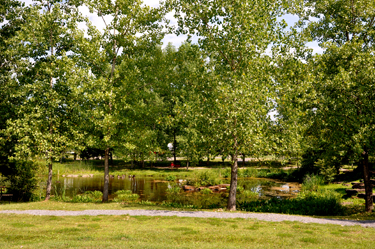 The view out the front window of the two RV Gypsies' RV