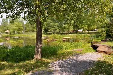 path by the lake